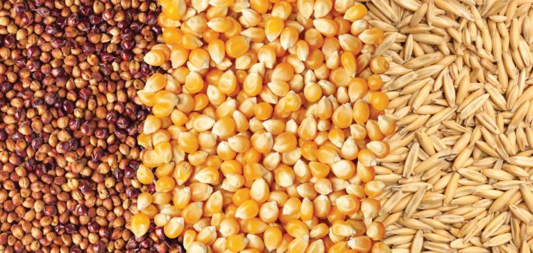 Liquid chromatography in the food industry