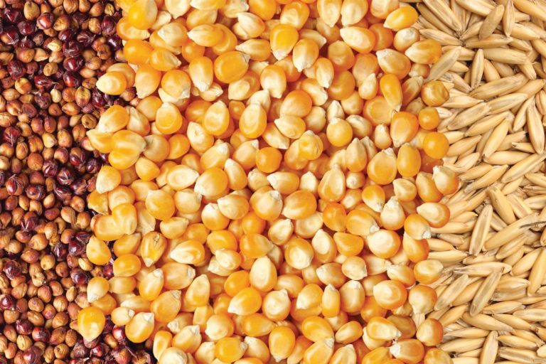 Liquid chromatography in the food industry